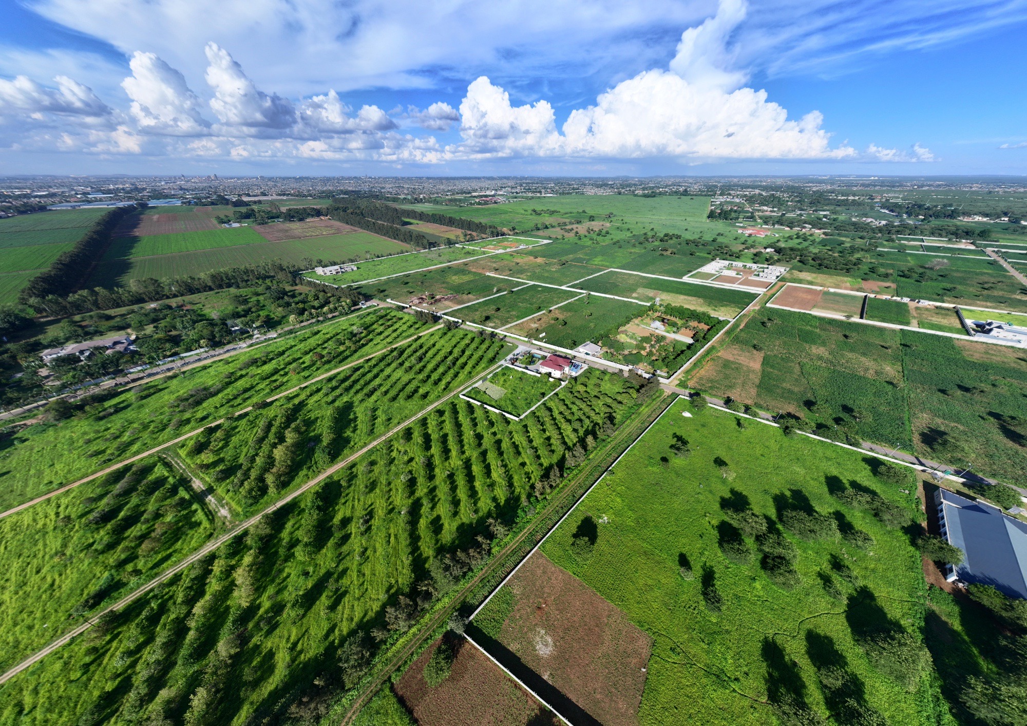Oasis Palms aerial project view